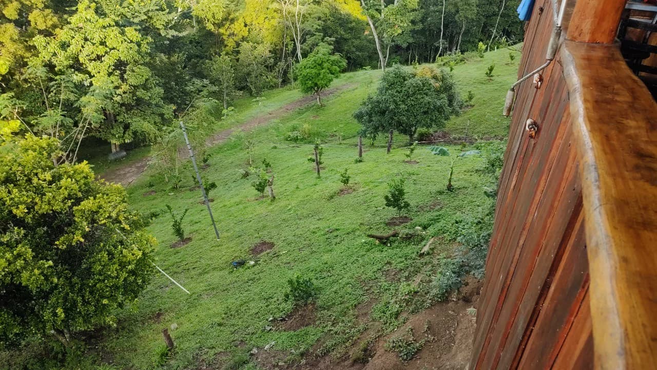 Agricultural Farm for Sale in the mountains of Hojancha, Beautiful 25-acre property with floating lake Apartment and Huge main home - photo 14