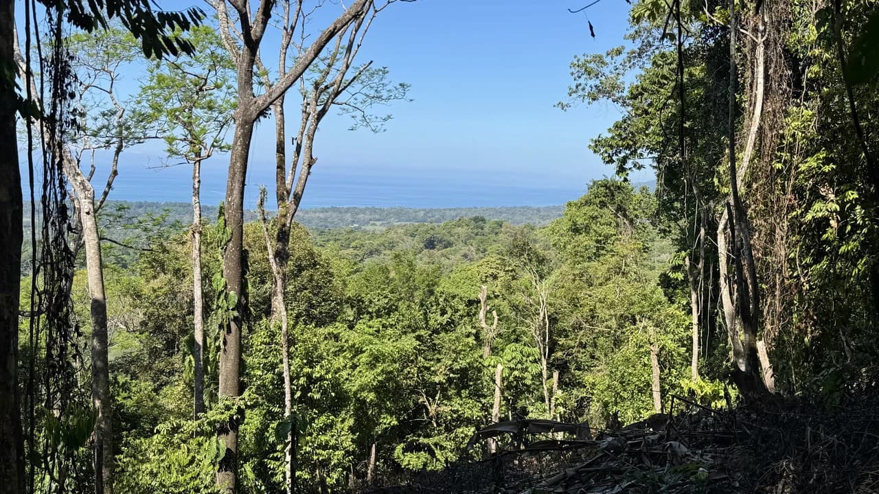 Unique Opportunity, Panoramic Ocean Views of the Whale's Tail Beach! - photo 5