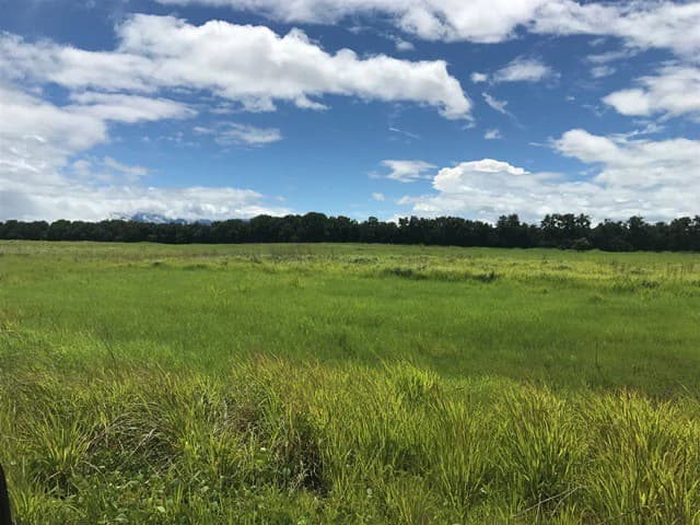NYA project Price $ 17 m². 21 hectares - photo 11