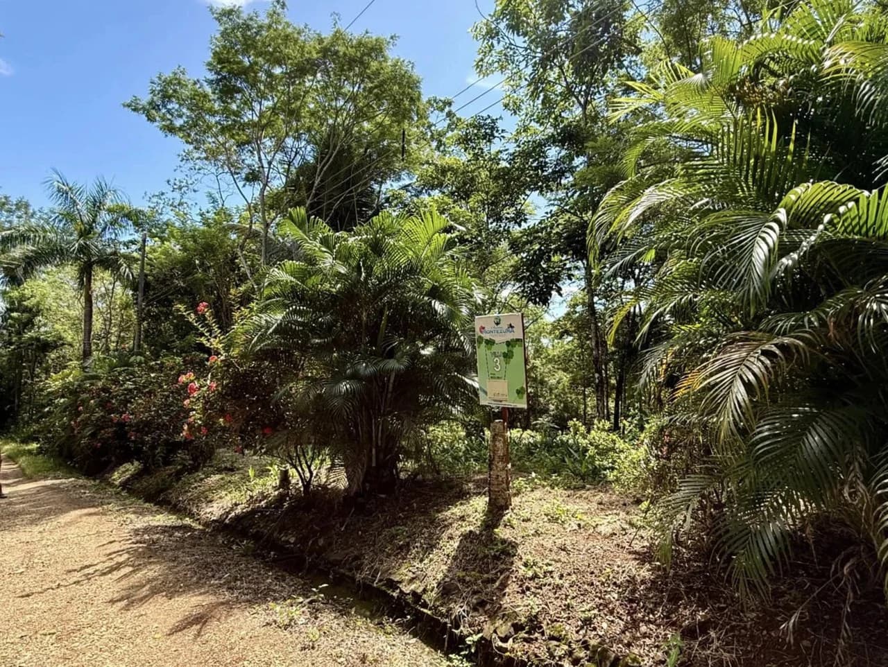 Suenos Montezuma: Jungle lot, but in a gated community close to Cobano and Montezuma. Shopping in one direction, and surf town in the other. "Suenos Montezuma" 5000m2, Lot #3 $250,000. USD - photo 6