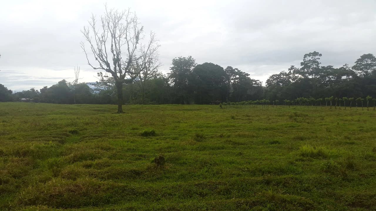 Countryside Development Parcel For Sale in Cariari - photo 20
