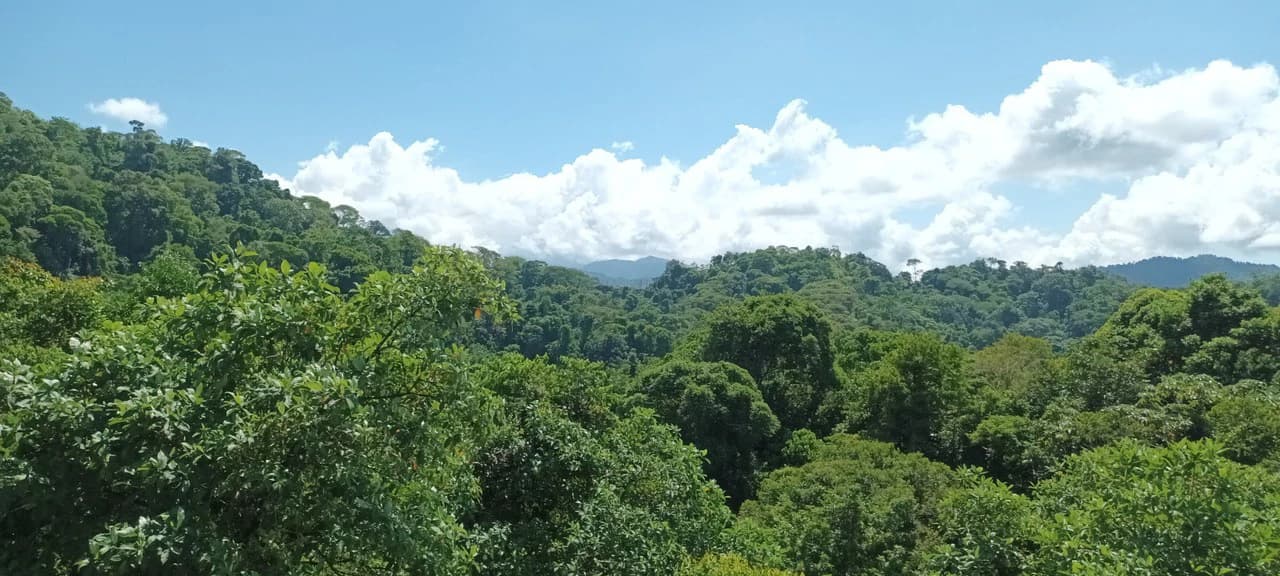 SECLUDED PARADISE WITH STUNNING VIEWS, WATERFALLS & ABUNDANT WILDLIFE - photo 29