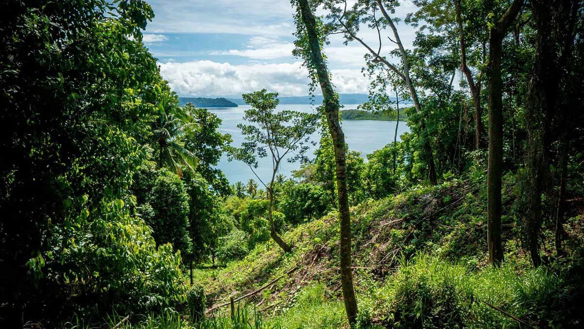 Rincon Mountain Land Gulf View | A Breathtaking Landscapes of Rincon - photo 19