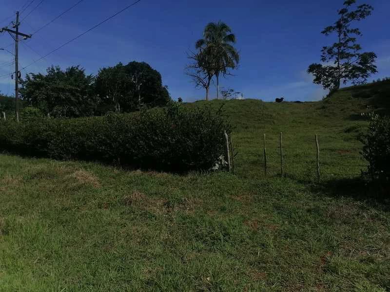 69.16 Acres Property | Mountain & Top Ocean View with Small Home - photo 30