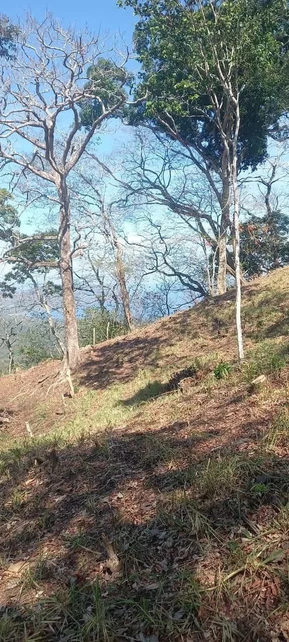 $2,200,000USD hectares: Ocean View Development Land for Sale in Tambor Costa Rica – 58 Hectares on the Nicoya Peninsula - photo 12