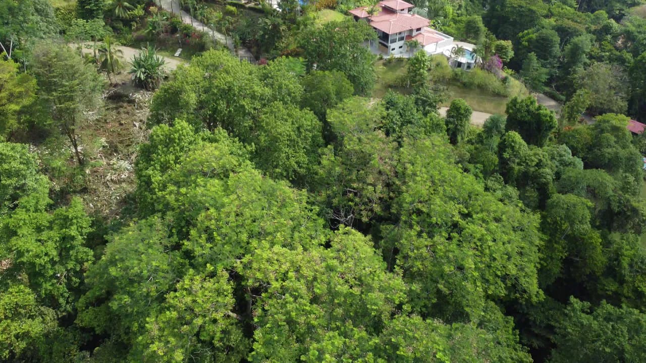 Ojochal - 1 Acre Ready To Build Jungle Lot, Ocean Breezes in Wildlife Corridore - photo 3
