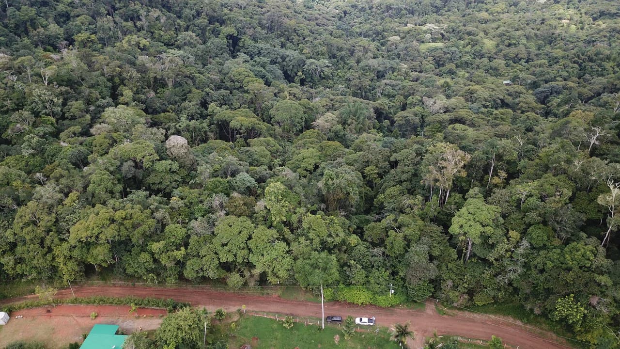 Ocean View Forest Reserve with Private Homesite Near Tinamastes - photo 9