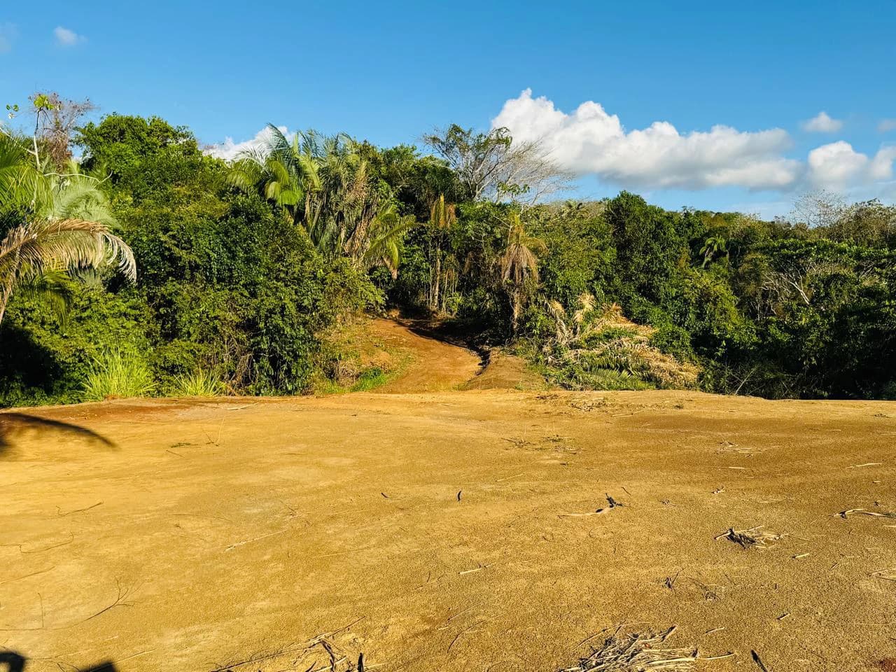 Finca Herradura: 82-Hectare Ocean View Development Land Near Los Sueños, Jacó - photo 2