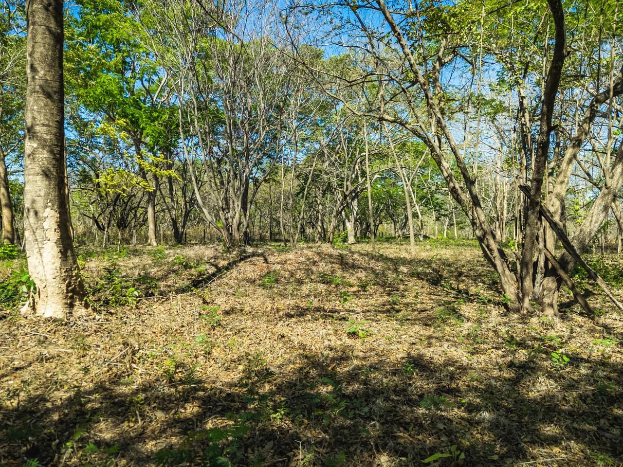Bosque Escondido: Mixed-Use Lot Steps from Avellanas Beach - photo 12