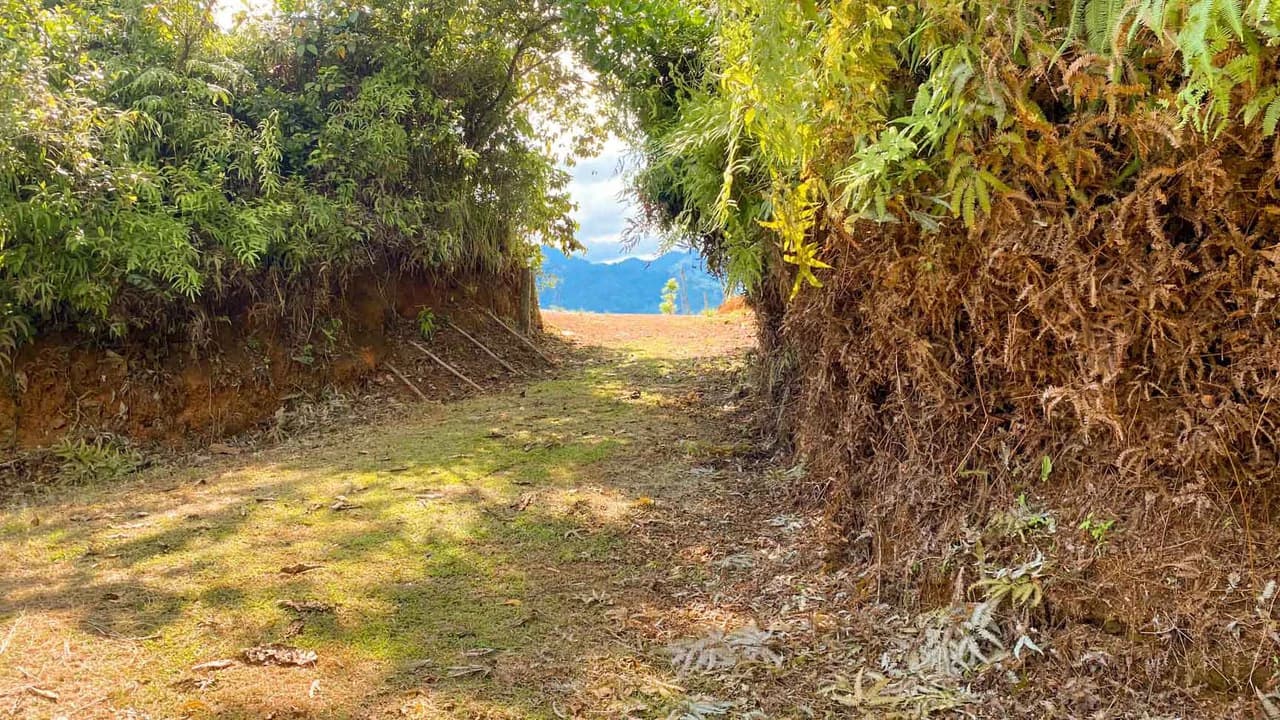 32 Acre Self Sustainable Farm with House Close Ojochal - photo 47