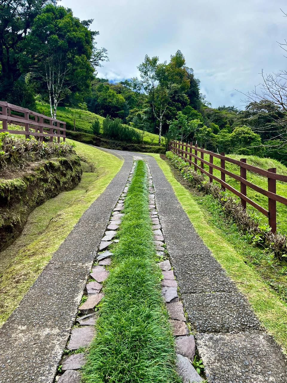 Hidden Paradise in Monteverde. Sierra Verde SV0125: 5 Hectares with Spectacular Views, a Beautiful and Cozy Main House and Caretaker’s Home Just 10 Minutes from Monteverde - photo 5