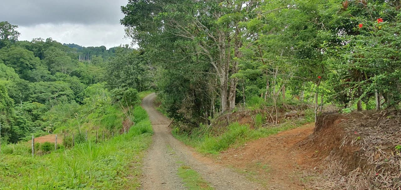 GULF VIEW PROPERTY IN PUERTO JIMENEZ, COSTA RICA - photo 7
