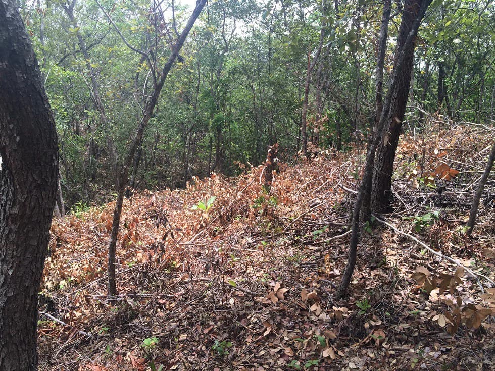 Finca grande: Economic Building property for sale in El Salto, with private access to the surrounding beautiful nature with own river - photo 10