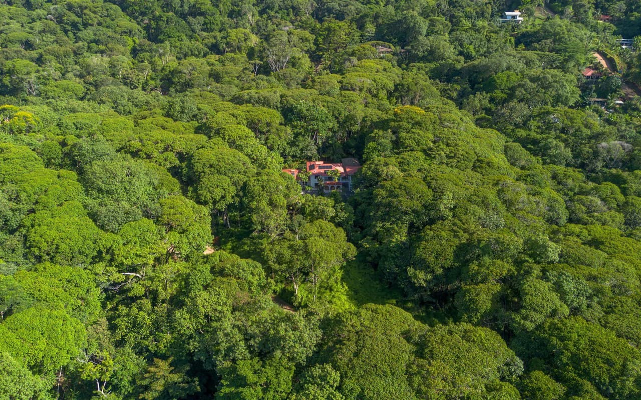 Cinco Ventanas: Modern Tropical Retreat with Private Pool and Jungle - photo 33