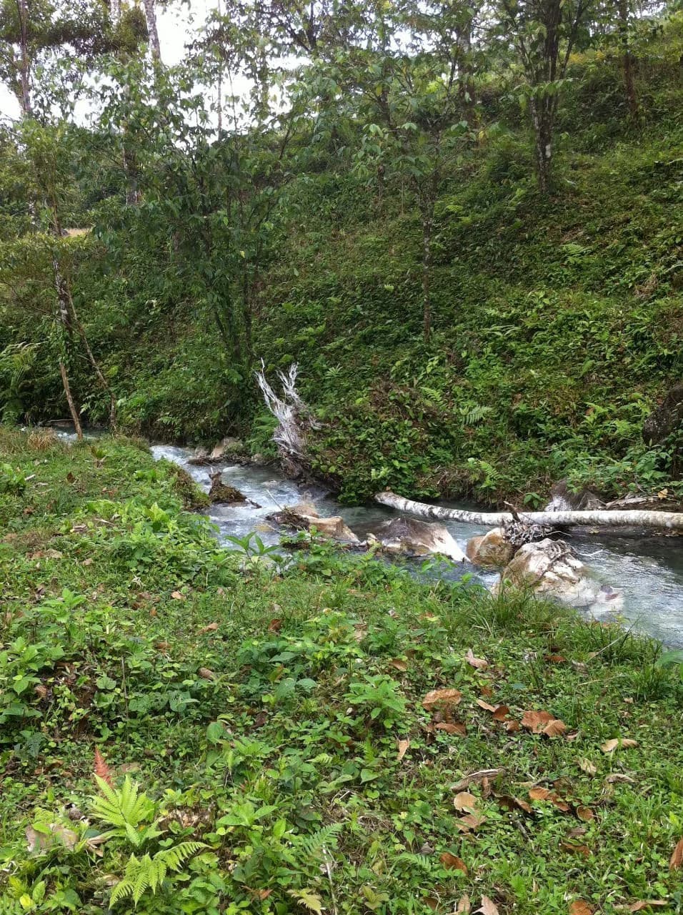 Hot and Cold Thermal Springs for Sale – Beautiful Property in Dos Ríos, Alajuela with Excellent Commercial Potential - photo 85