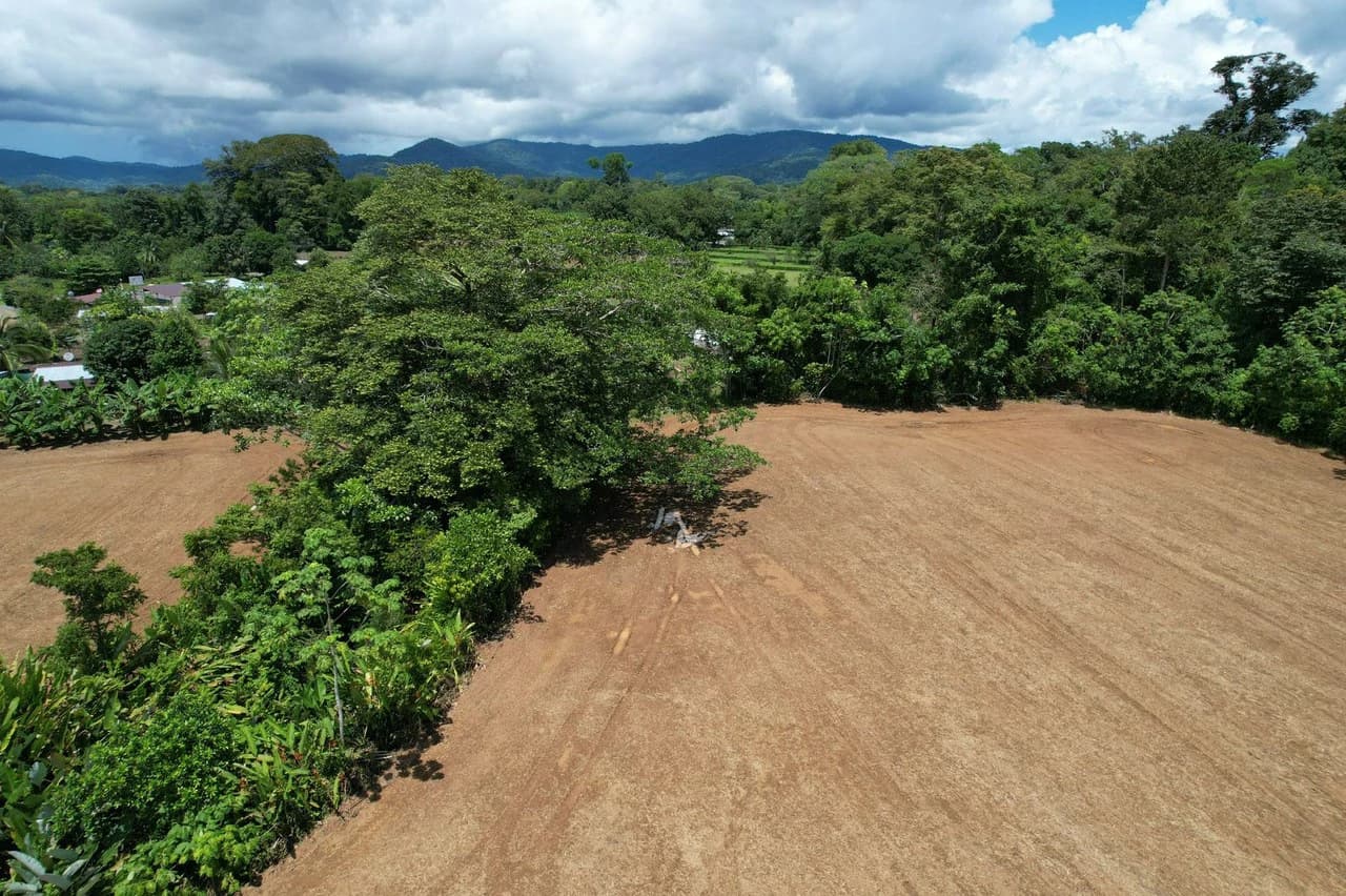 Finca La Palma, Puerto Jimenez: Excellent location ideal for development - photo 6