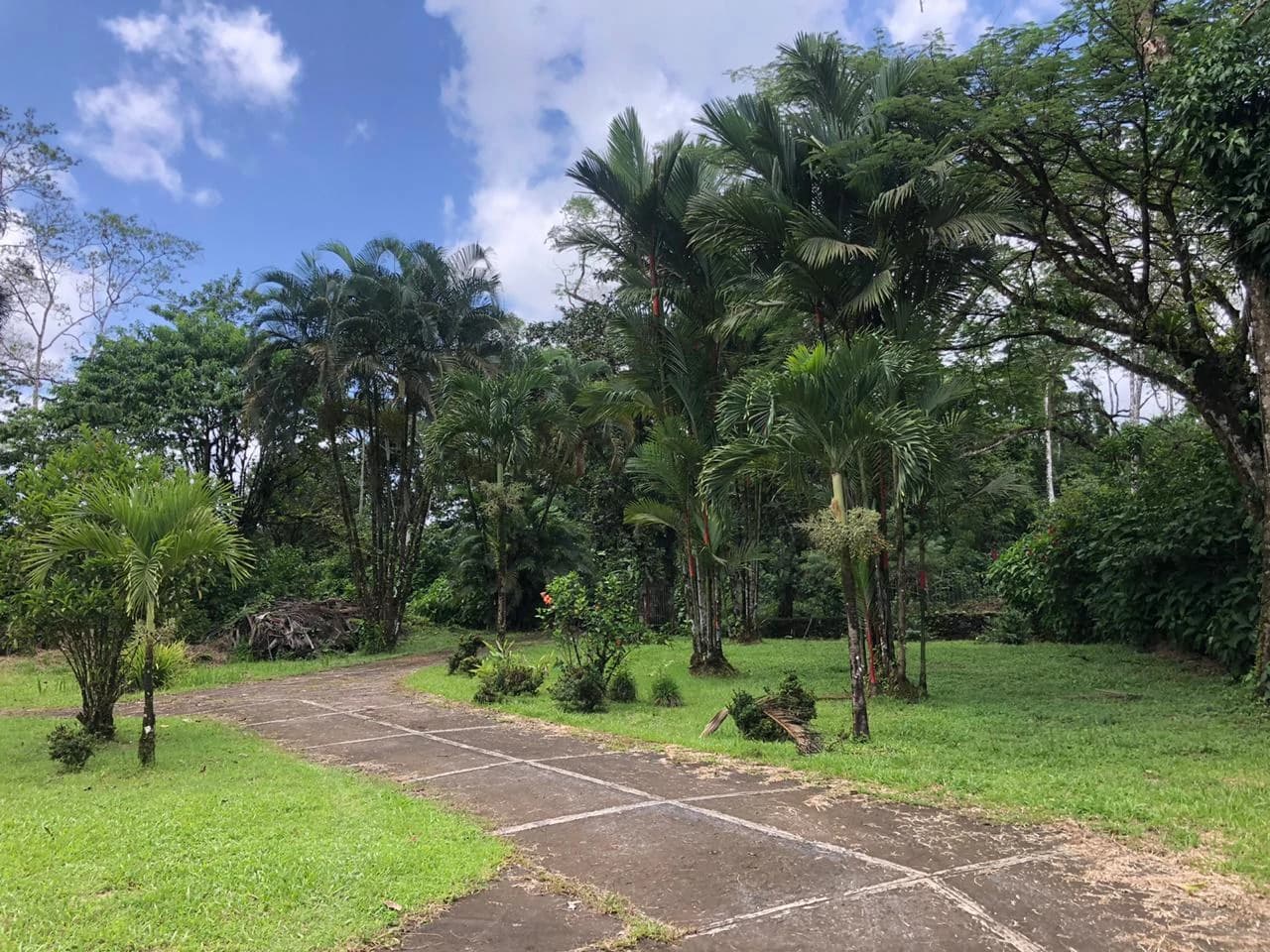 Hot Springs Property in Dos Ríos de Upala – Excellent Investment Opportunity - photo 5