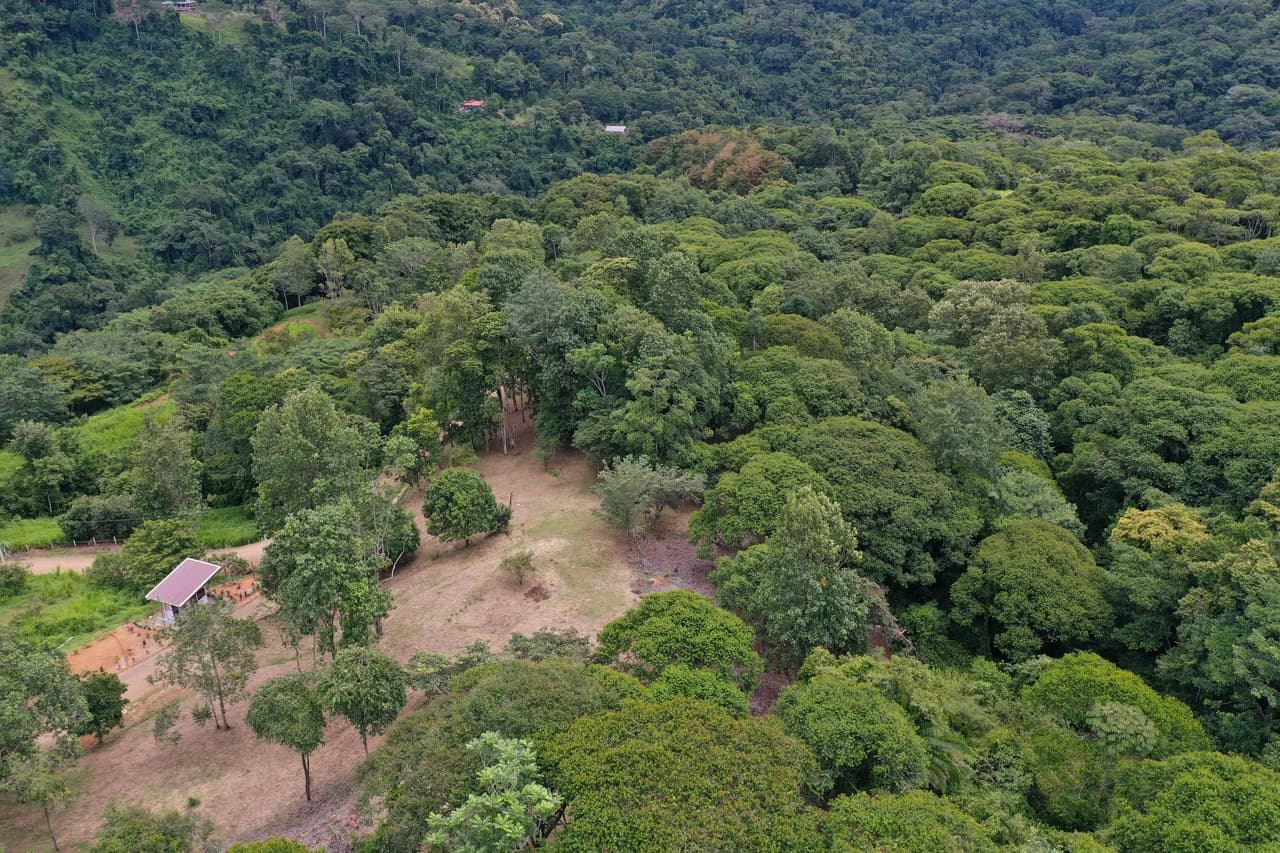 Diamante Waterfall View Land in Dominical 2.9 Acres - photo 15