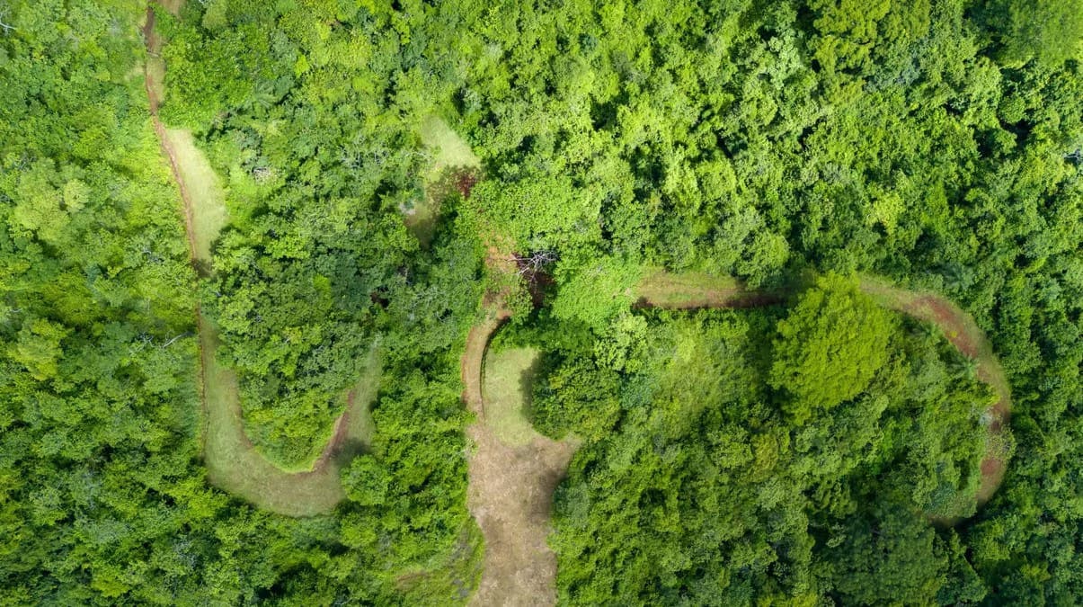 Ocean View Farm for Sale Guanacaste Costa Rica Playa Coyote - photo 14