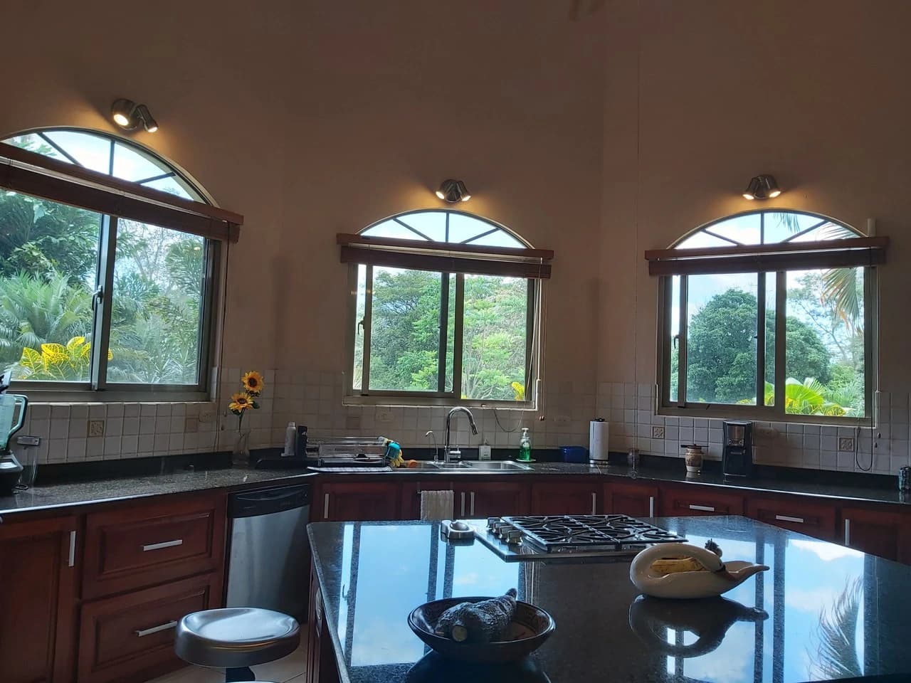Countryside and Near the Coast House For Sale in Higuito - photo 14