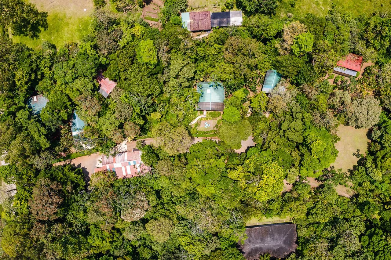 Casitas Tenorio B&B: Turnkey Eco-Lodge in Bijagua: Profitable Business, Sustainable Luxury, and Breathtaking Nature - photo 6