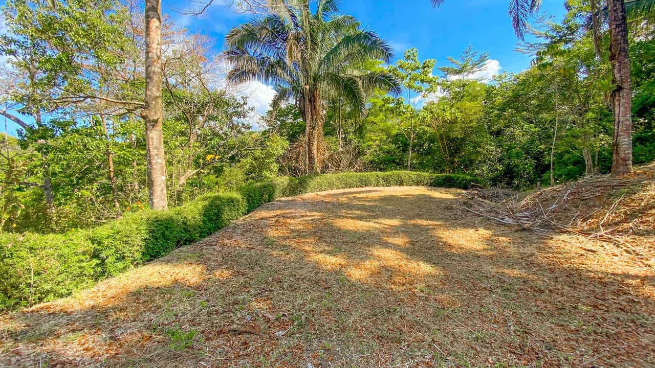 32 Acre Self Sustainable Farm with House Close Ojochal - photo 50