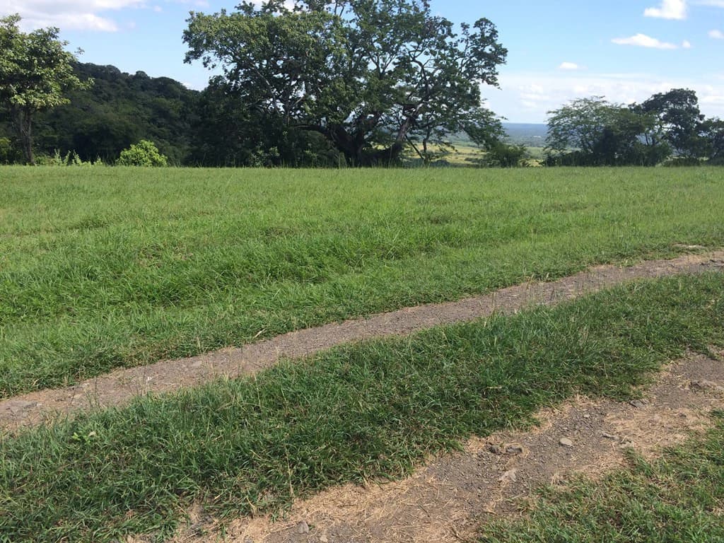Great Ocean, valley and garden view Lots for sale in a Private Gated Community in Peninsula Papagayo - photo 9