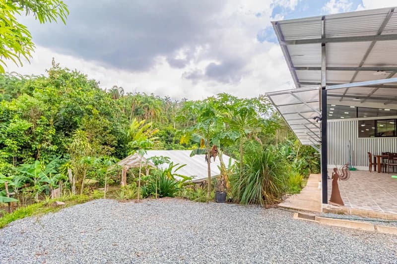 Casa San Pedrito: Beautiful house for sale in San Pedrito,(1,3hect) Perez Zeledon - photo 15