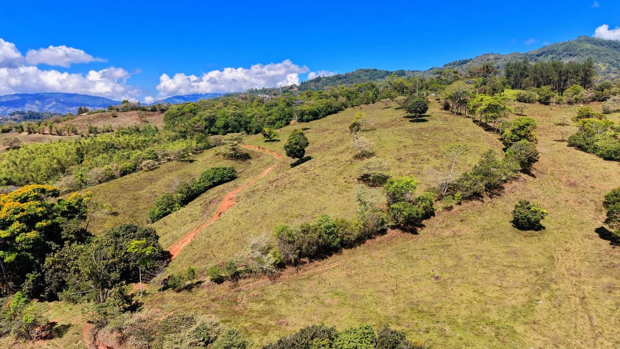 Agricultural Land For Sale in MORAZAN - photo 13