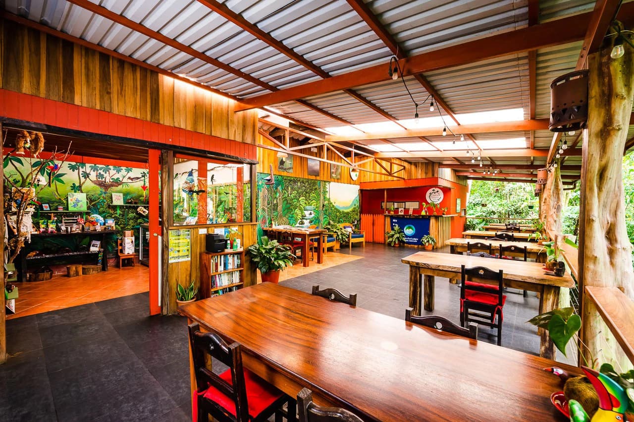 Casitas Tenorio B&B: Turnkey Eco-Lodge in Bijagua: Profitable Business, Sustainable Luxury, and Breathtaking Nature - photo 4