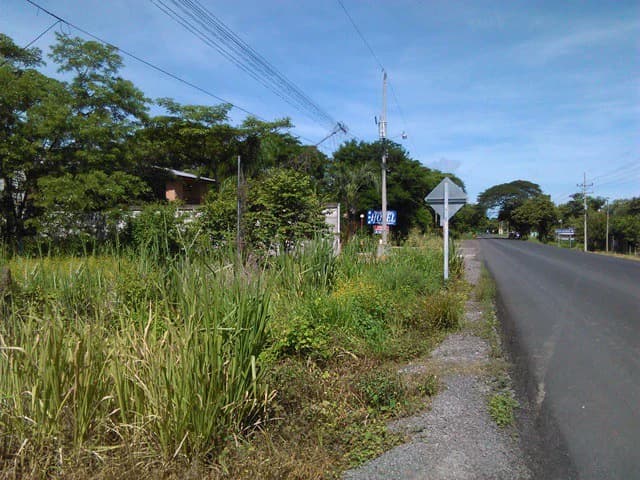 Discovery Park. Property with excellent location - photo 6