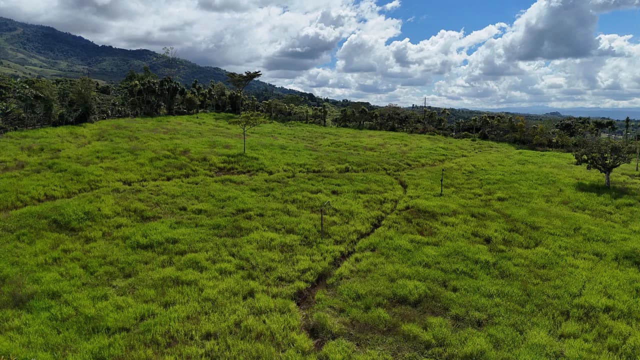 Countryside Home Construction Site For Sale in Santa Elena - photo 3