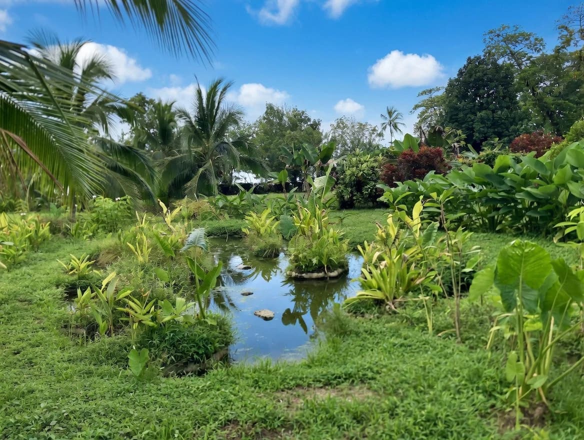Casa Bromelia: Drake Bay Beachfront Paradise Property Near Corcovado - photo 16