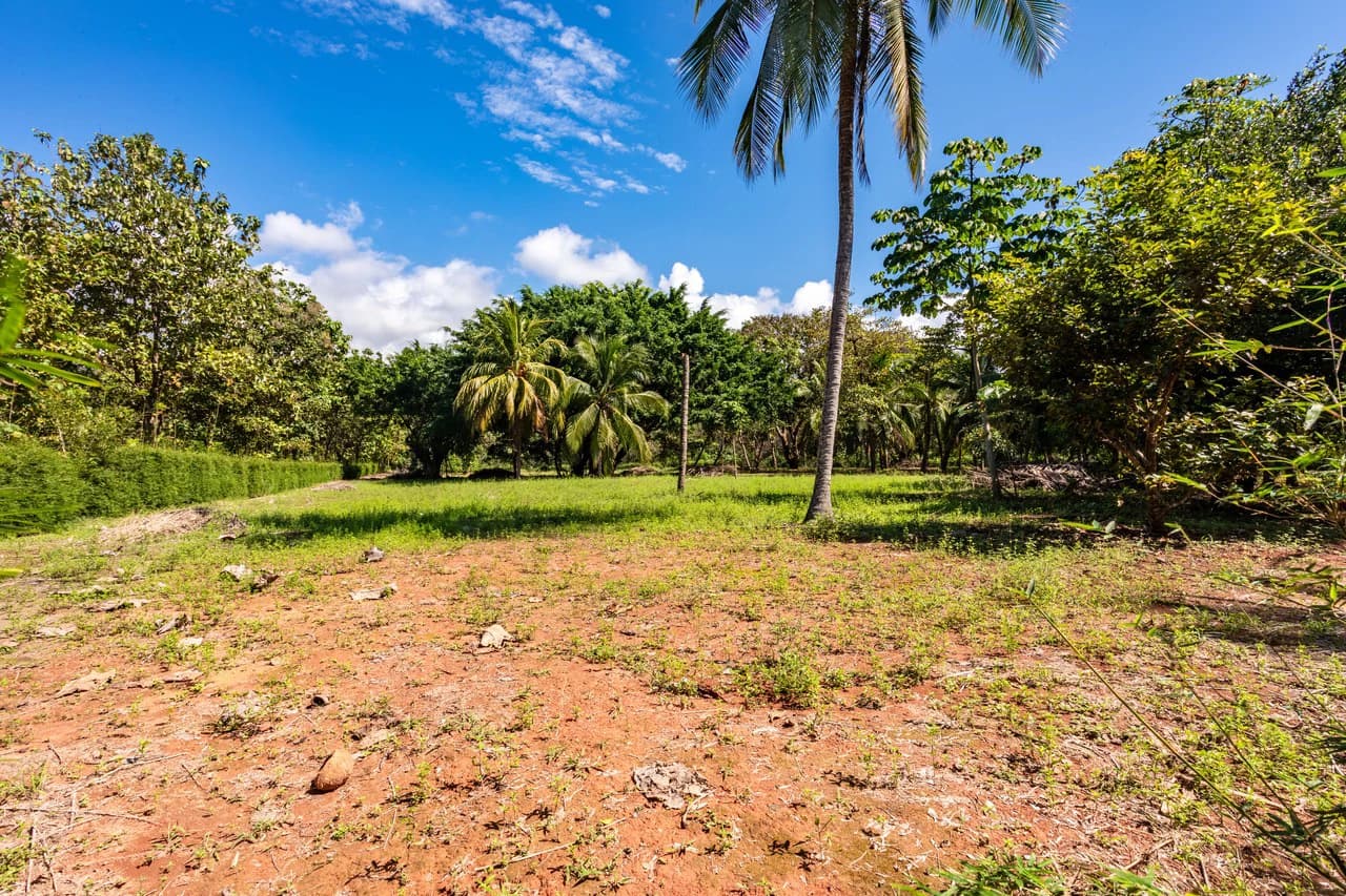 Exclusive Beachfront Opportunity south of Manuel Antonio Costa Rica - photo 23