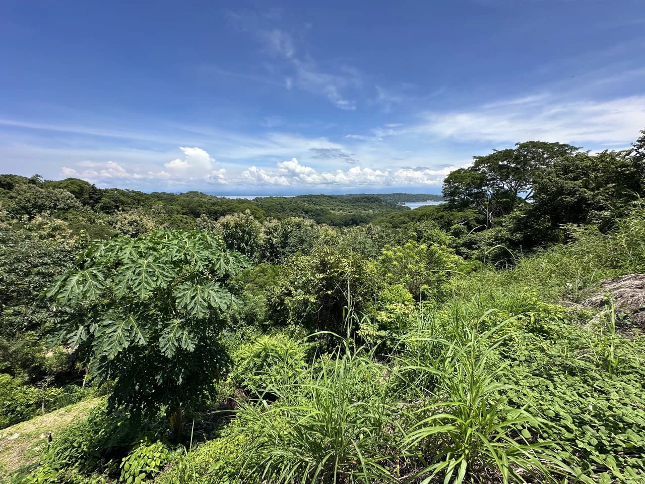 Lote by Naranjo Beach - Blue zone: Ocean View Lot By The Beach: Nicoya Peninsula - photo 5