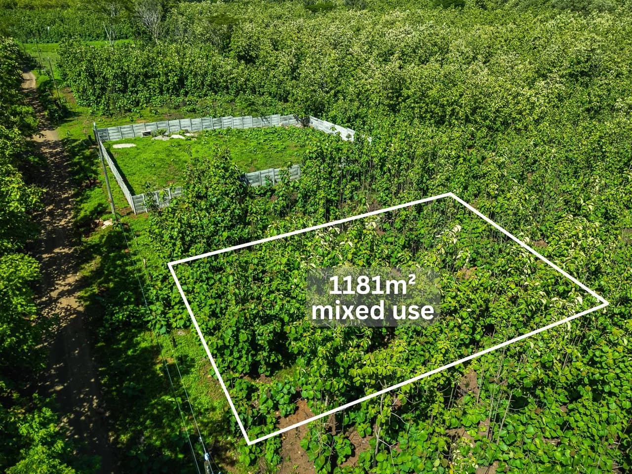 San Jose de Pinilla Lot: Affordable Mixed Use Lot Between Tamarindo & Avellanas - photo 3