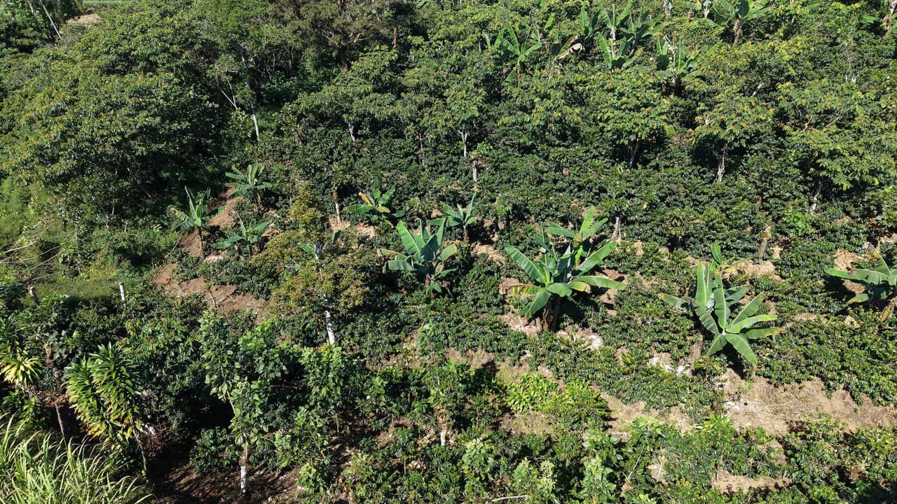 Countryside Home Construction Site For Sale in Santa Elena - photo 4