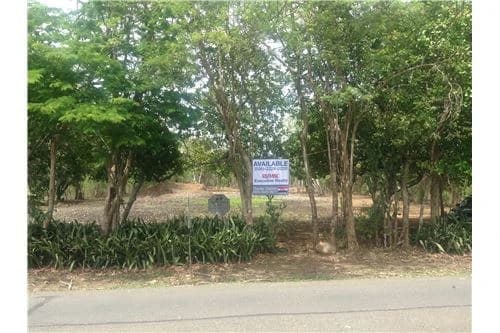 Commercial land in Guanacaste 0.87ha : 900701029-120 - photo 2