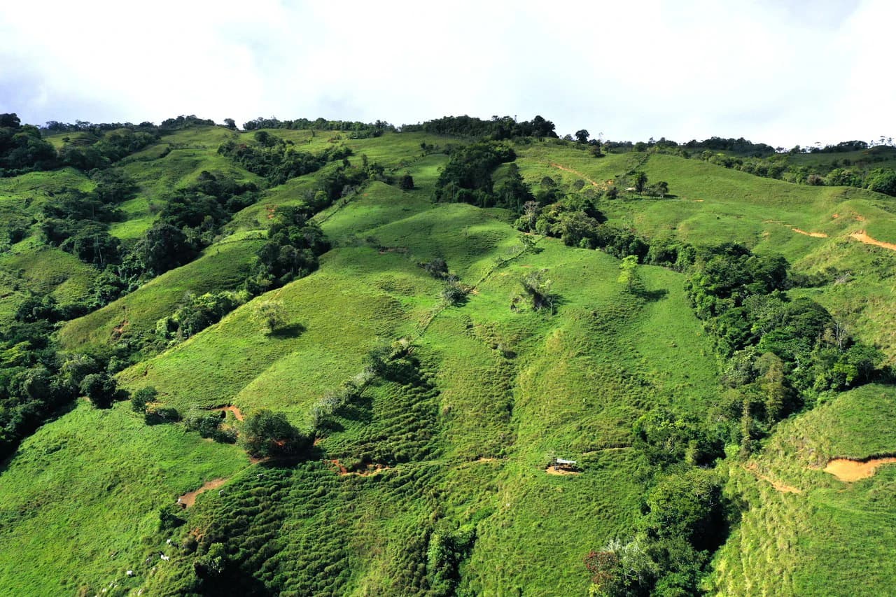 150 Acre Cattle Ranch with Panoramic Views Above the mountains of Uvita - photo 2