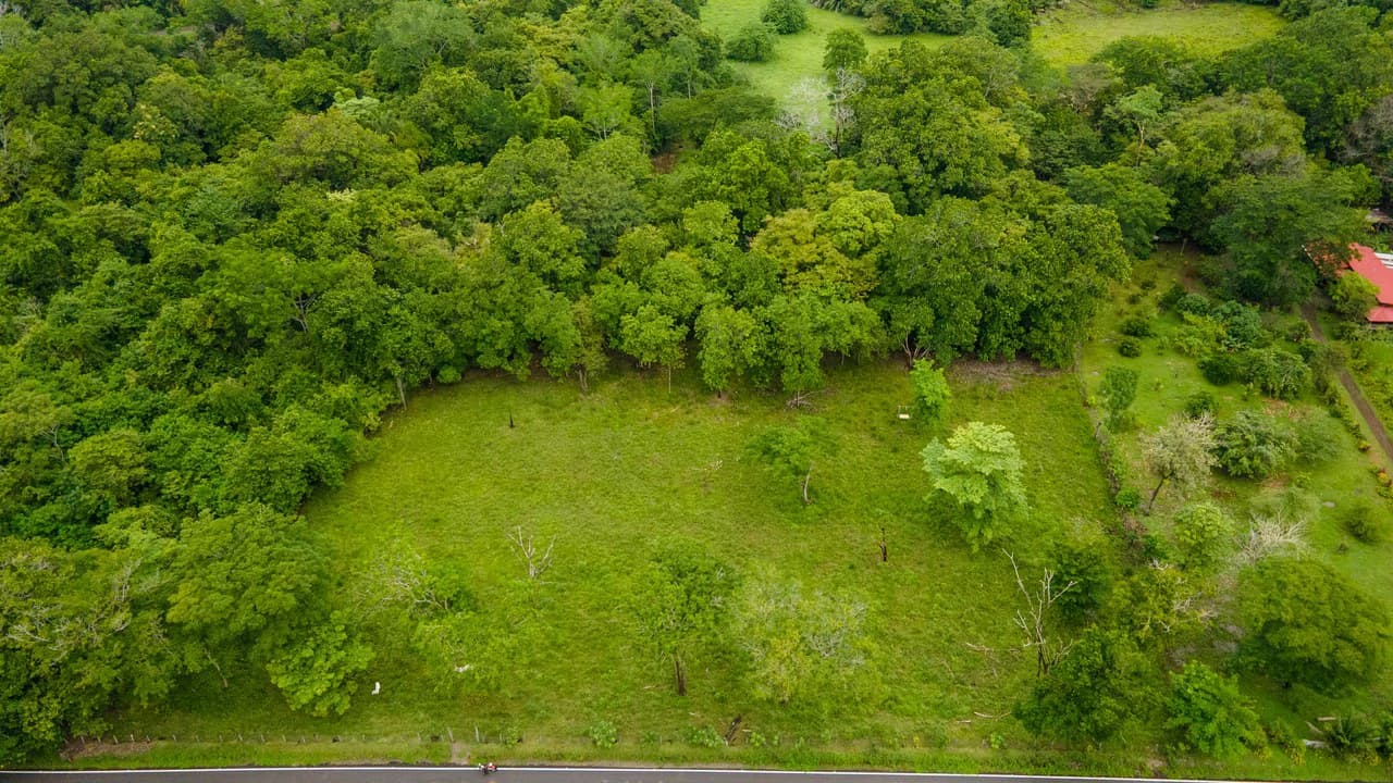 Exceptional Nearly 3-Hectare Property in Pueblo Nuevo, Bejuco, Guanacaste - photo 8