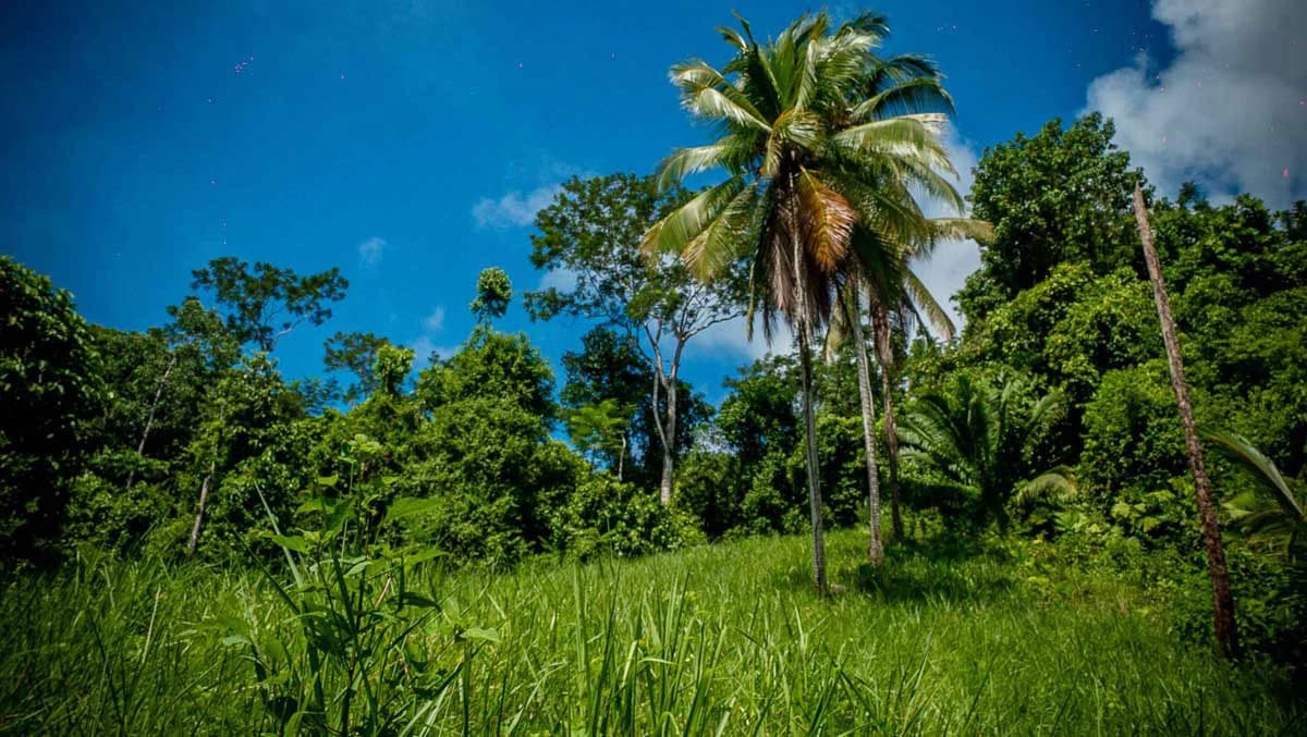 Rincon Mountain Land Gulf View | A Breathtaking Landscapes of Rincon - photo 22