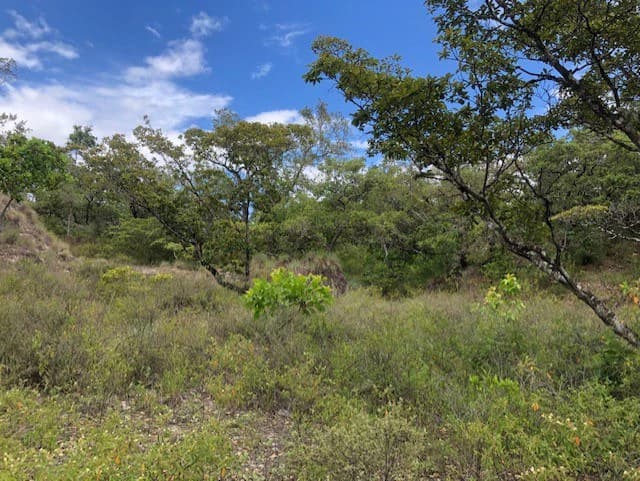 Mountain Farm for Sale in Liberia – Nature, Privacy, and High Investment Potential - photo 25