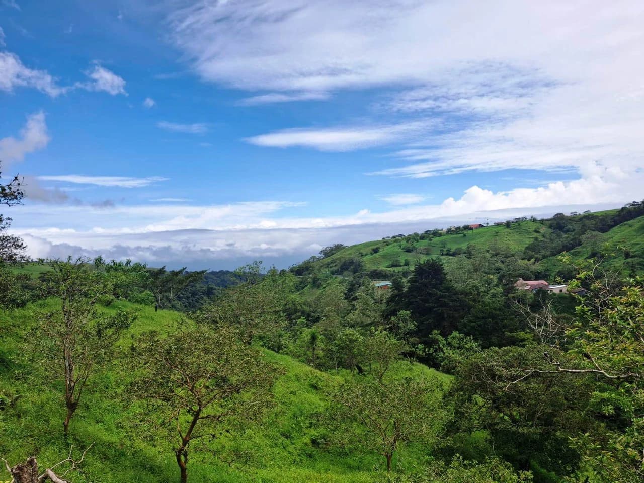 INVESTOR & DEVELOPER ALERT: High-Visibility Investment Property in the Heart of Tourist-Friendly Zarcero - photo 2