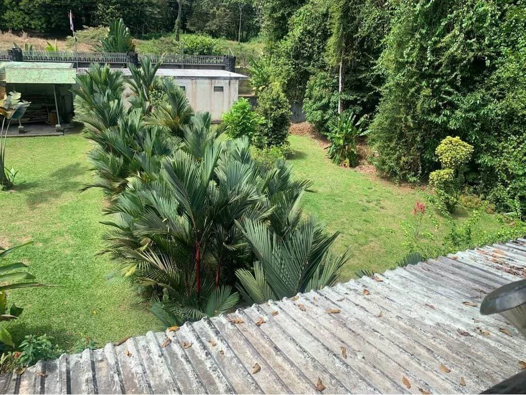 for sale 2 farms in Horquetas Sarapiquí TOGETHER or SEPARATE - photo 16