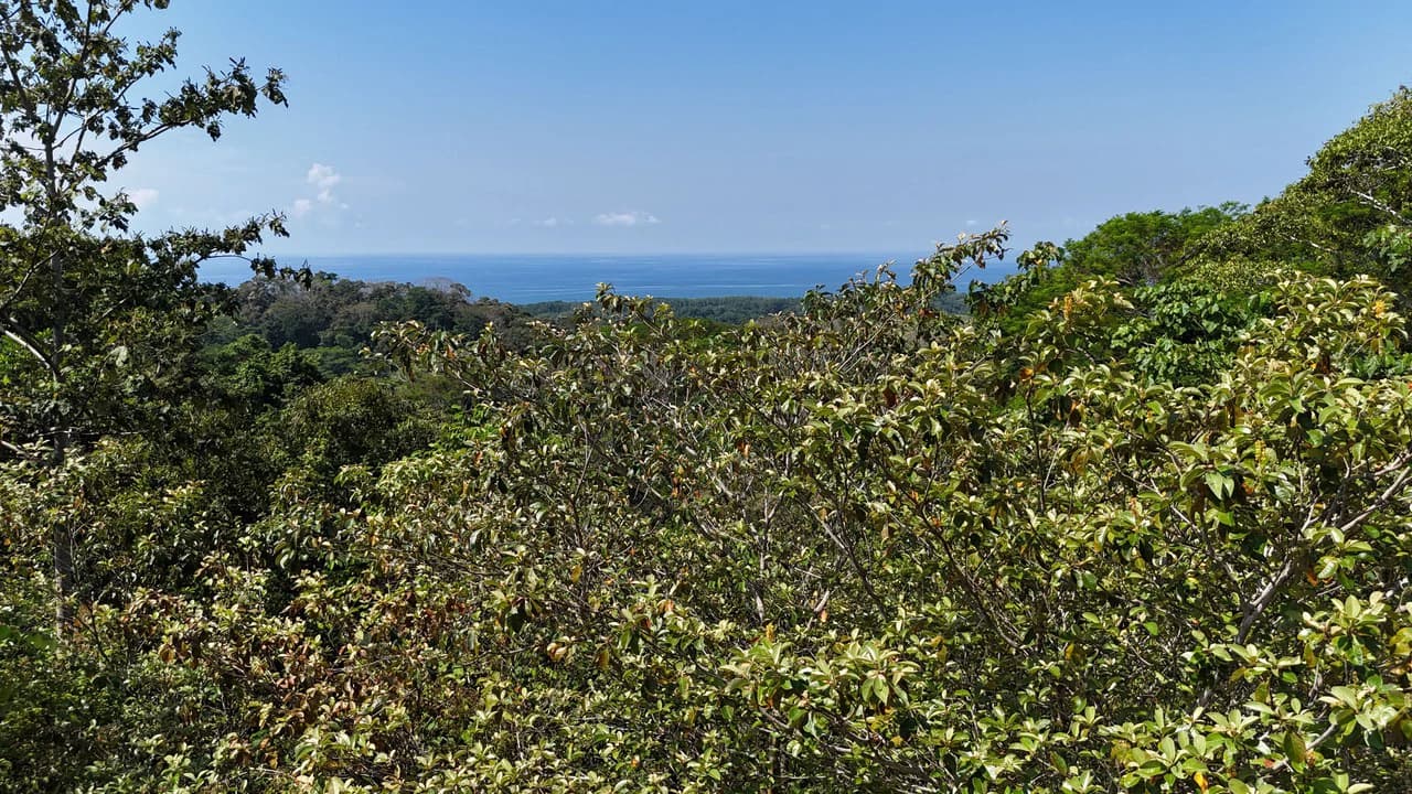 Exceptional Development Opportunity 71 acre Riverfront & Ocean View in Hatillo - photo 14