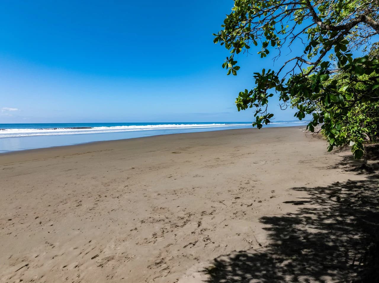 Exclusive Beachfront Opportunity south of Manuel Antonio Costa Rica - photo 14