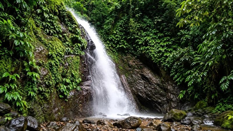 116-Hectare Finca for Sale Near Uvita with Whales Tail Views and 10 Waterfalls | La Faralla, Bahia Ballena, Uvita, Puntarenas, Costa Rica - photo 13