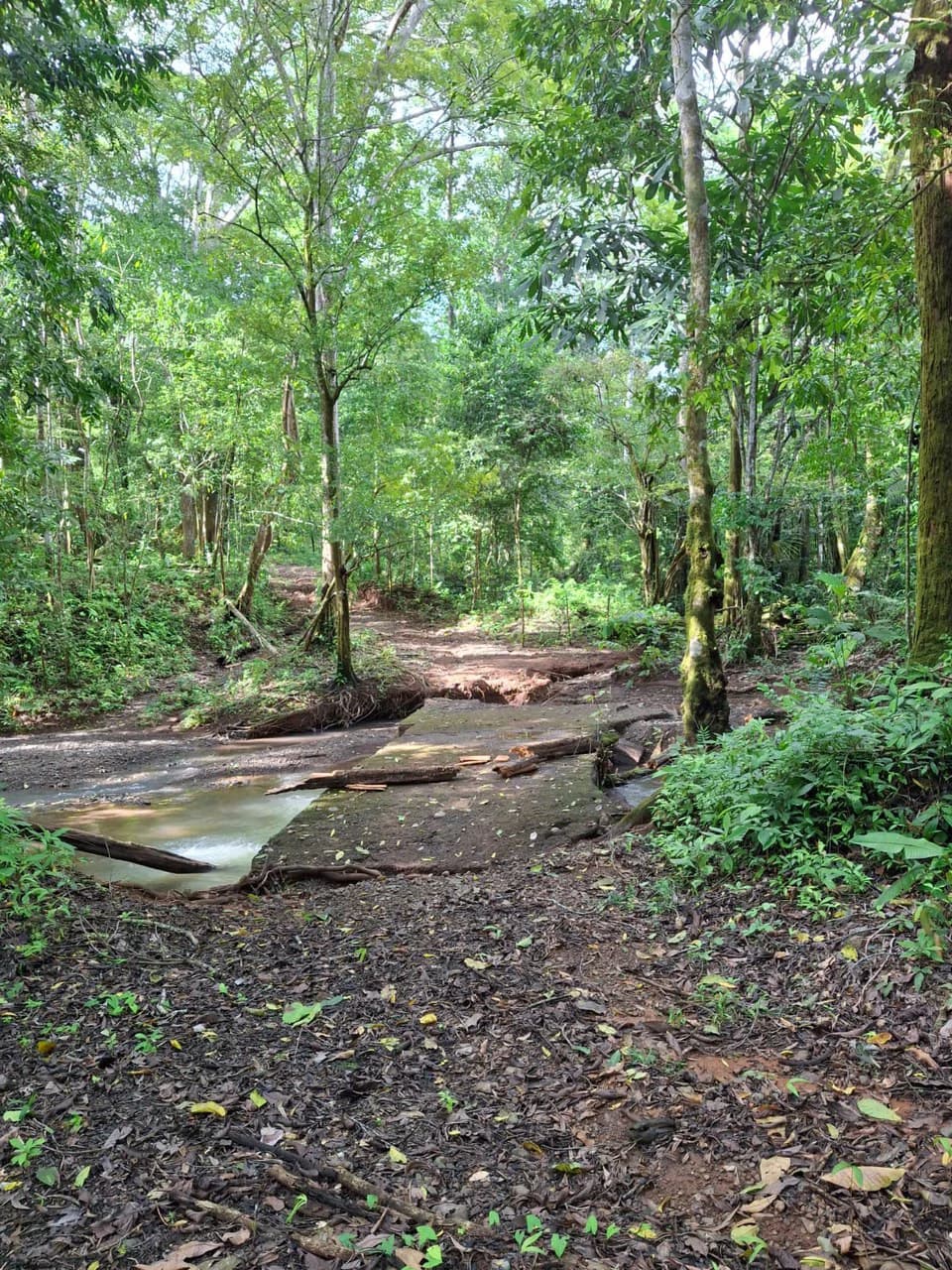 Hilltop Ocean Paradise: 10 ha (103,600m2) for private compound or development - photo 12