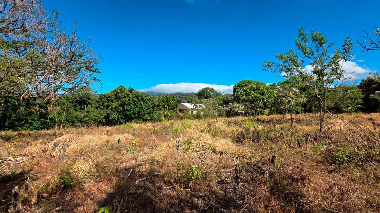 Lot for sale in Grecia, Costa Rica - photo 3