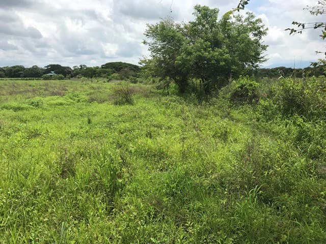 Property close to Liberia and Discovery Park - photo 5